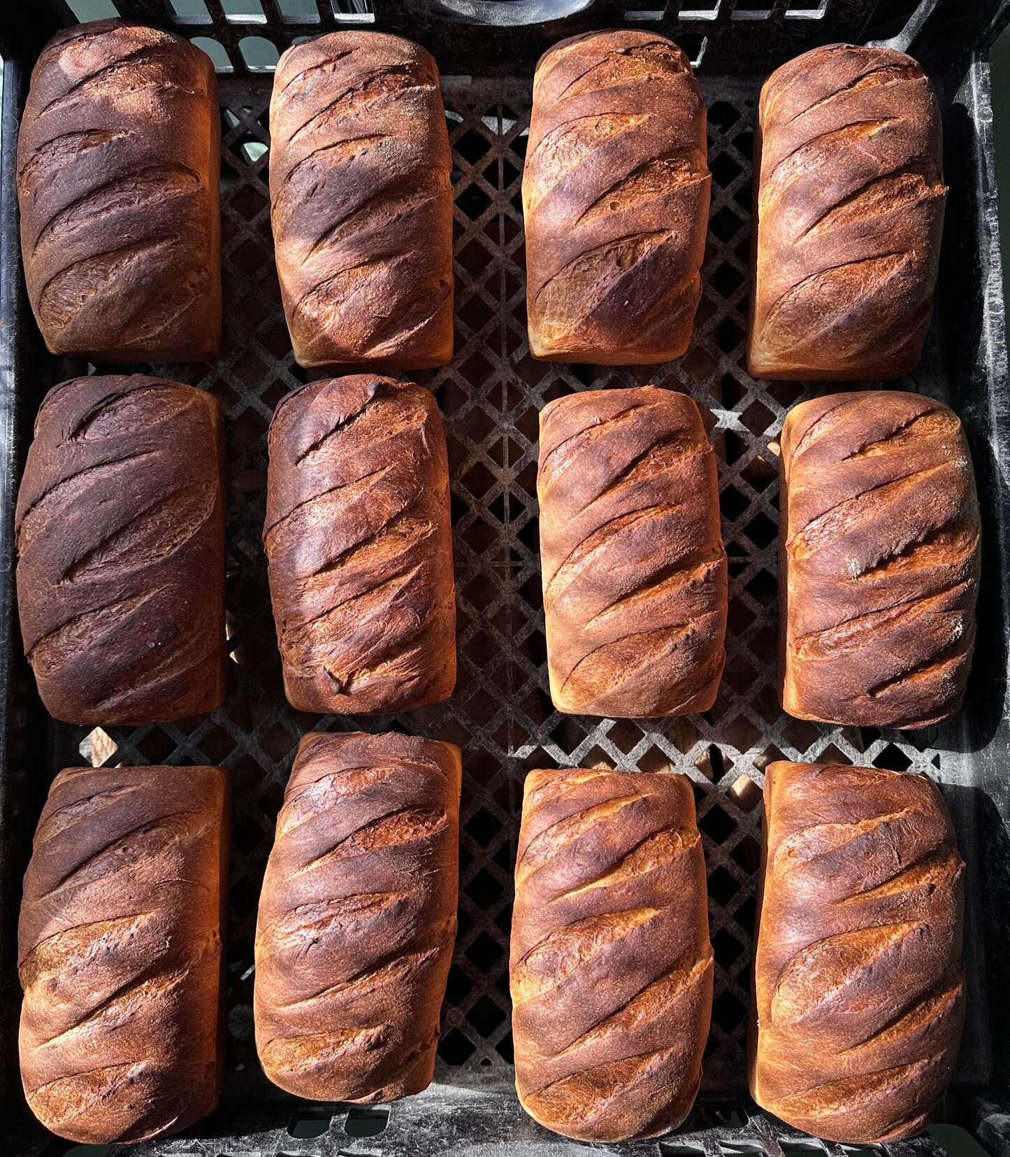 lost bread